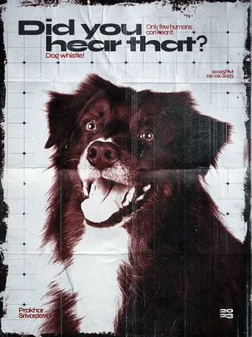 Random Poster